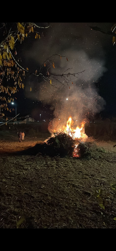 Photo Gallery – Focaraccio focaraccio 6